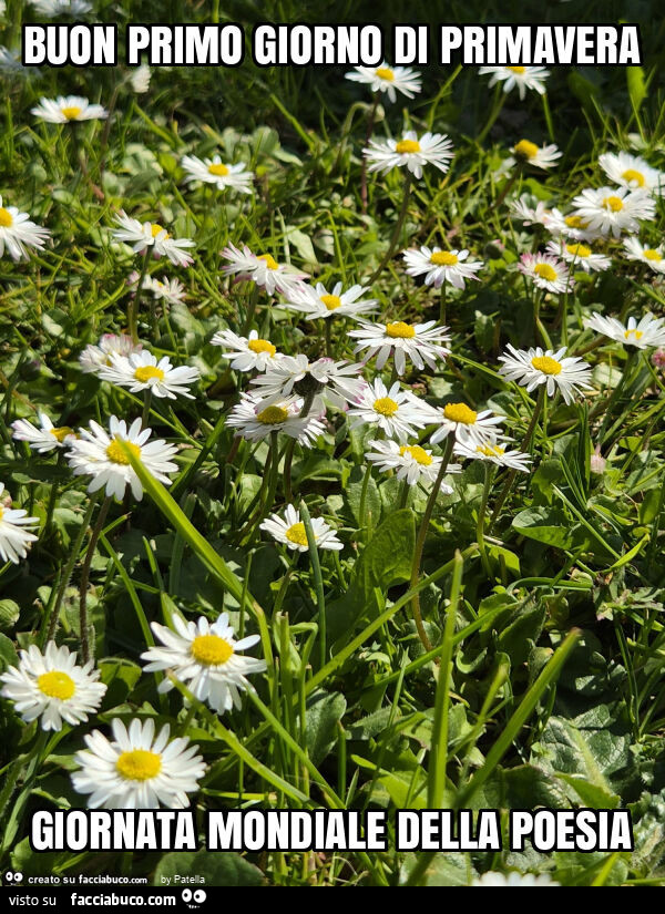 Buon primo giorno di primavera giornata mondiale della poesia