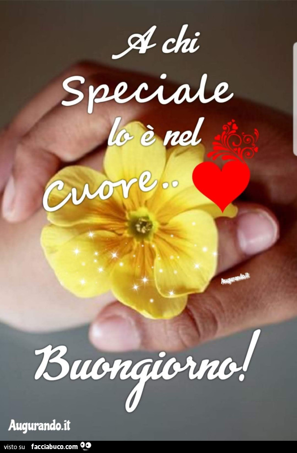 A chi speciale lo è nel cuore