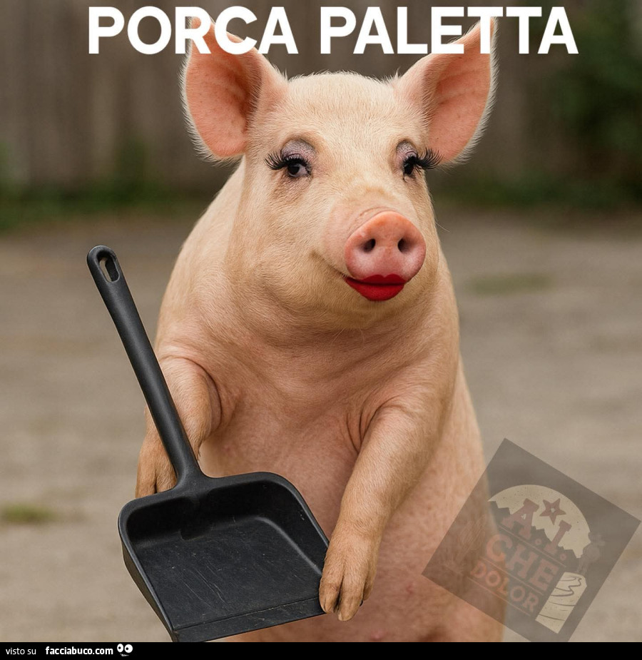 Porca