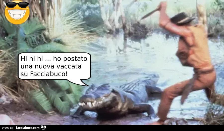 Vaccata