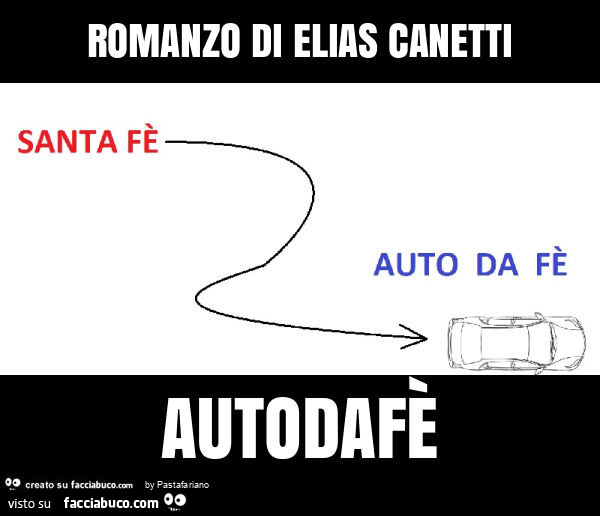 Romanzo di elias canetti autodafè