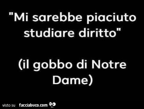 Mi sarebbe piaciuto studiare diritto. Il gobbo di notre dame