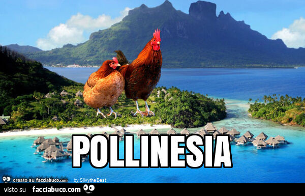 Pollinesia