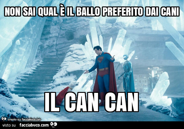 Non sai qual è il ballo preferito dai cani il can can