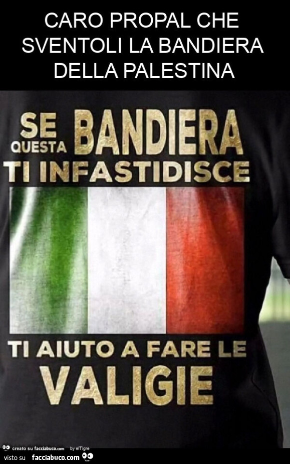 Caro propal che sventoli la bandiera della palestina