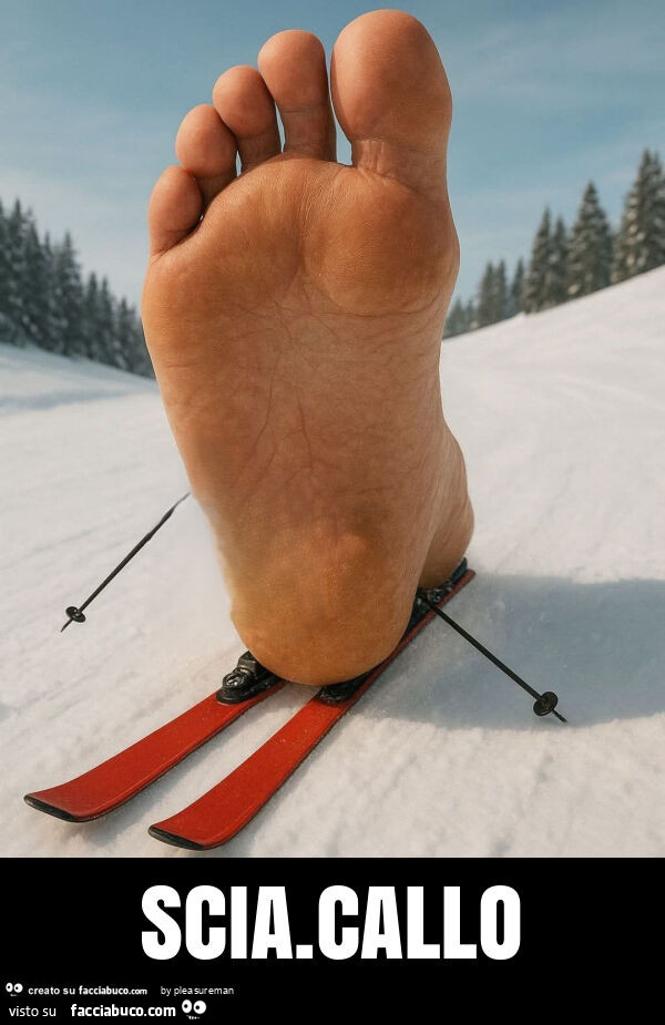 Scia. Callo