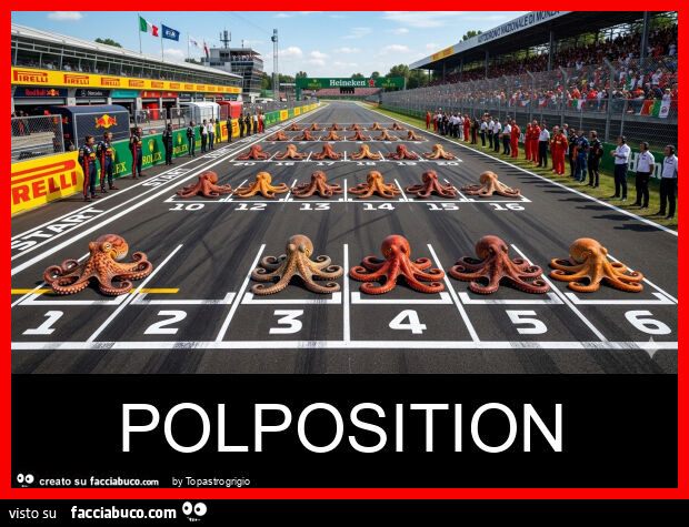 Polposition
