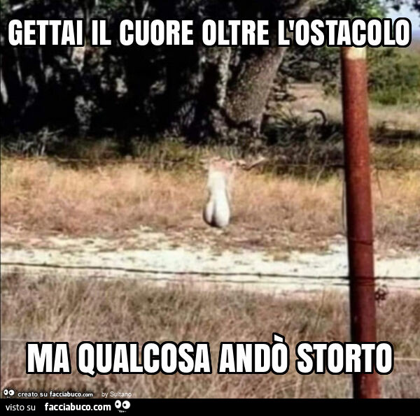 Gettai il cuore oltre l'ostacolo ma qualcosa andò storto