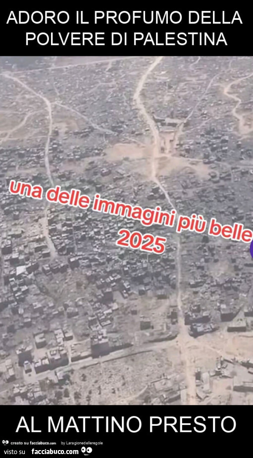 Adoro il profumo della polvere di palestina al mattino presto