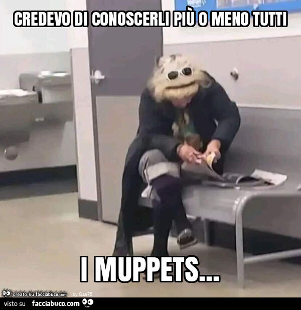 Credevo di conoscerli più o meno tutti i muppets