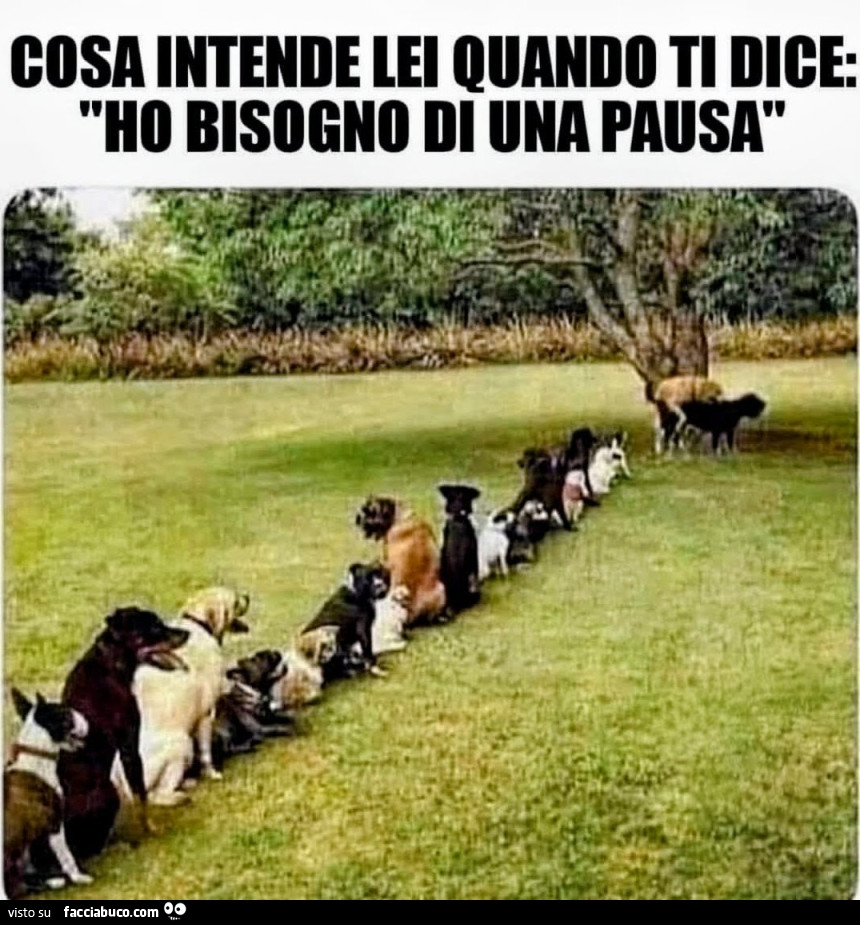 Pausa di riflessione