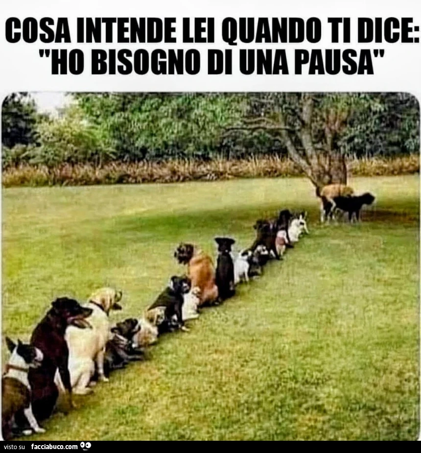 Pausa di riflessione