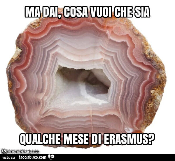 Ma dai, cosa vuoi che sia qualche mese di erasmus?