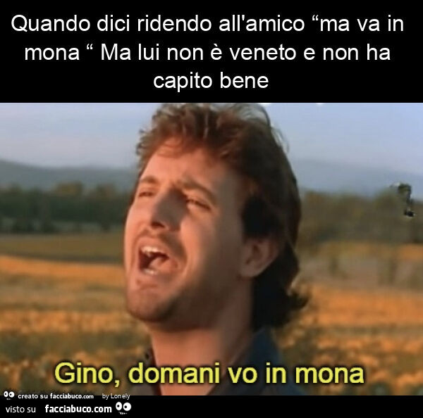 Quando dici ridendo all'amico “ma va in mona “ ma lui non è veneto e non ha capito bene