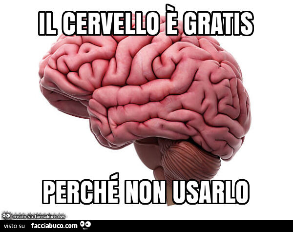 Il cervello è gratis perché non usarlo