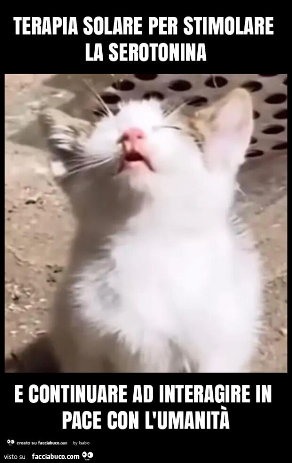 Terapia solare per stimolare la serotonina e continuare ad interagire in pace con l'umanità