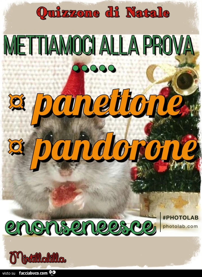 Il Quizzone di Natale