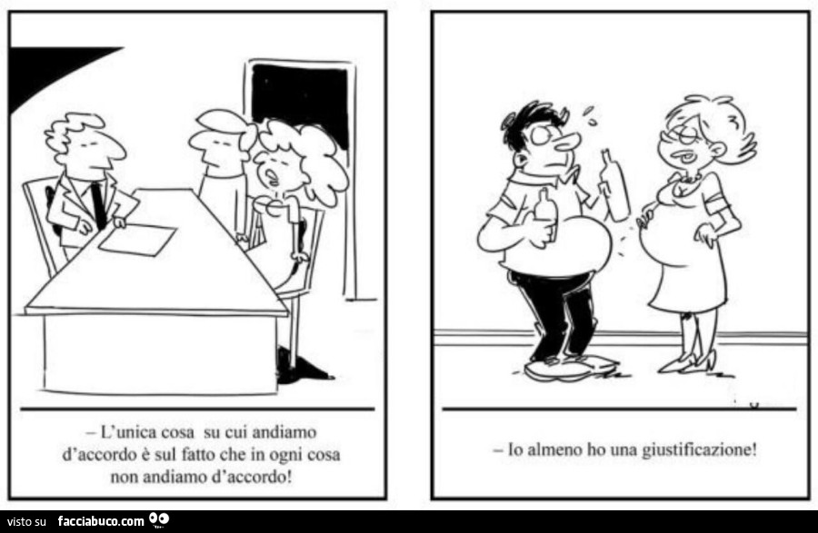 L'unica cosa su cui andiamo d'accordo è sul fatto che in ogni cosa non andiamo d'accordo! Io almeno ho una giustificazione