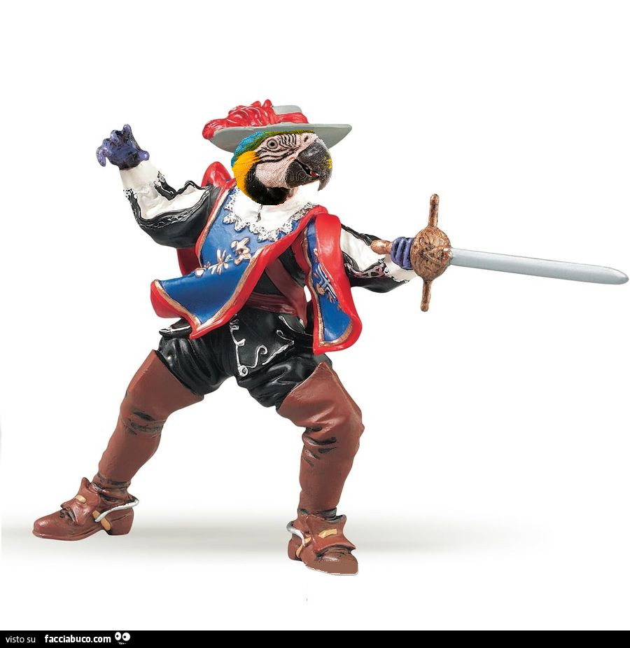 Pappagallo spadaccino