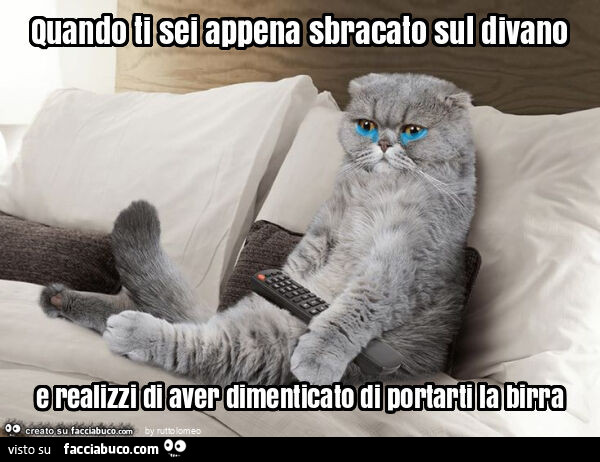 Quando ti sei appena sbracato sul divano e realizzi di aver dimenticato di portarti la birra