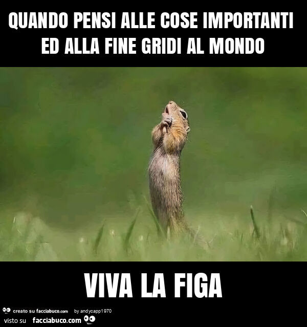Quando pensi alle cose importanti ed alla fine gridi al mondo viva la figa