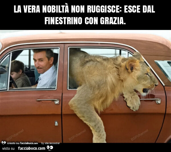 La vera nobiltà non ruggisce: esce dal finestrino con grazia