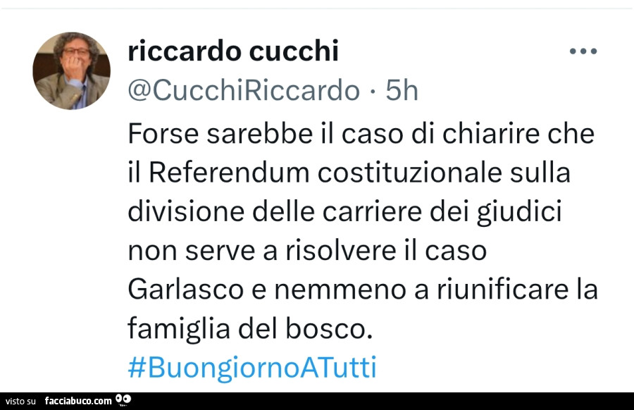 Forse sarebbe il caso di chiarire che il referendum costituzionale sulla divisione delle carriere dei giudici non serve a risolvere il caso garlasco e nemmeno a riunificare la famiglia del bosco