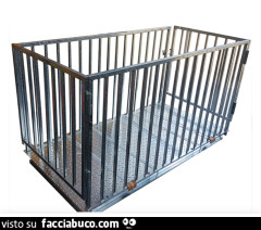 Vaccata