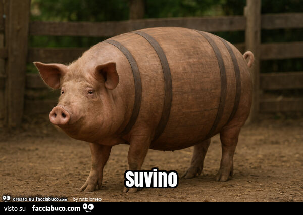 Suvino