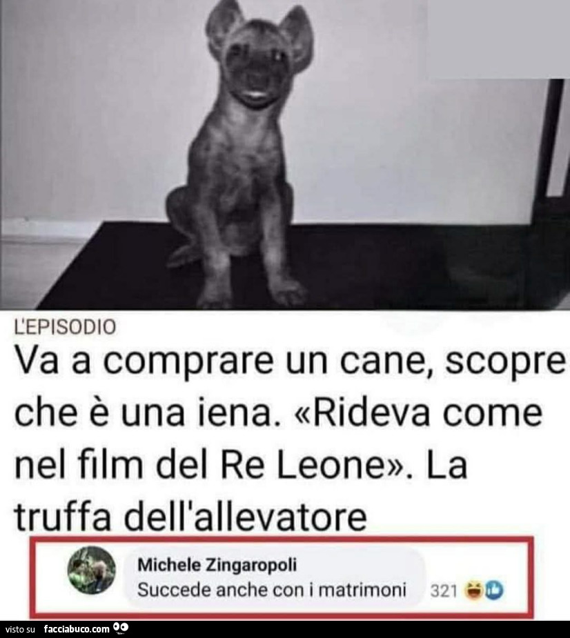 Cane