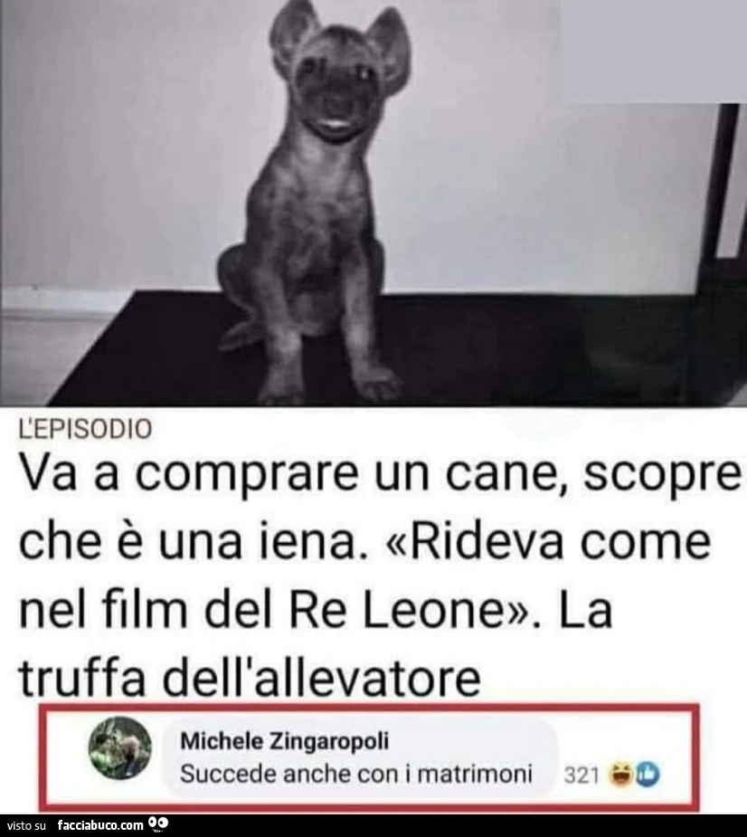 Cane