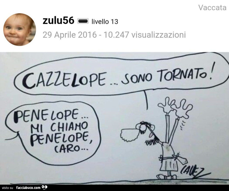 Vaccata