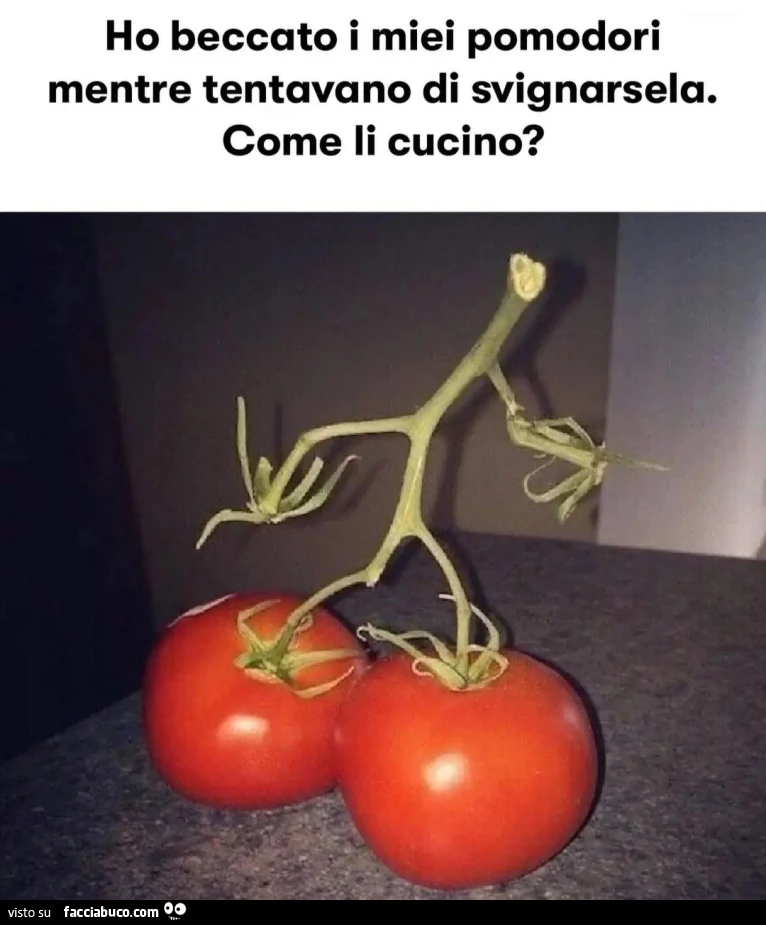 Pomodori in fuga