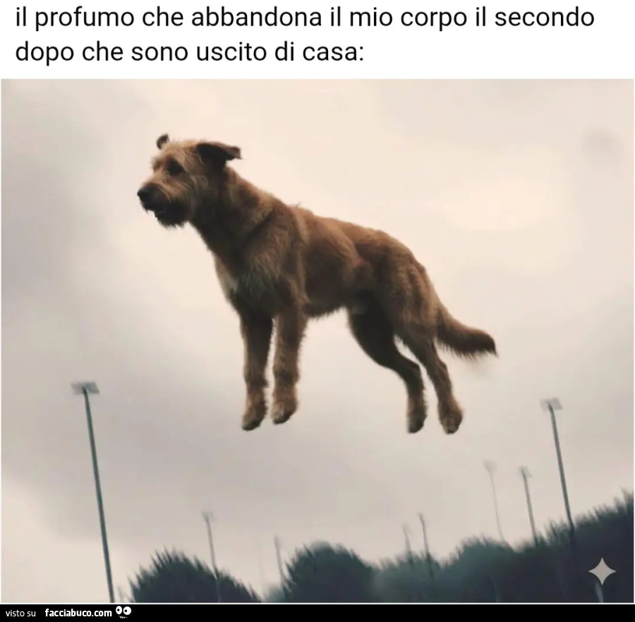 Il profumo che abbandona il mio corpo il secondo dopo che sono uscito di casa