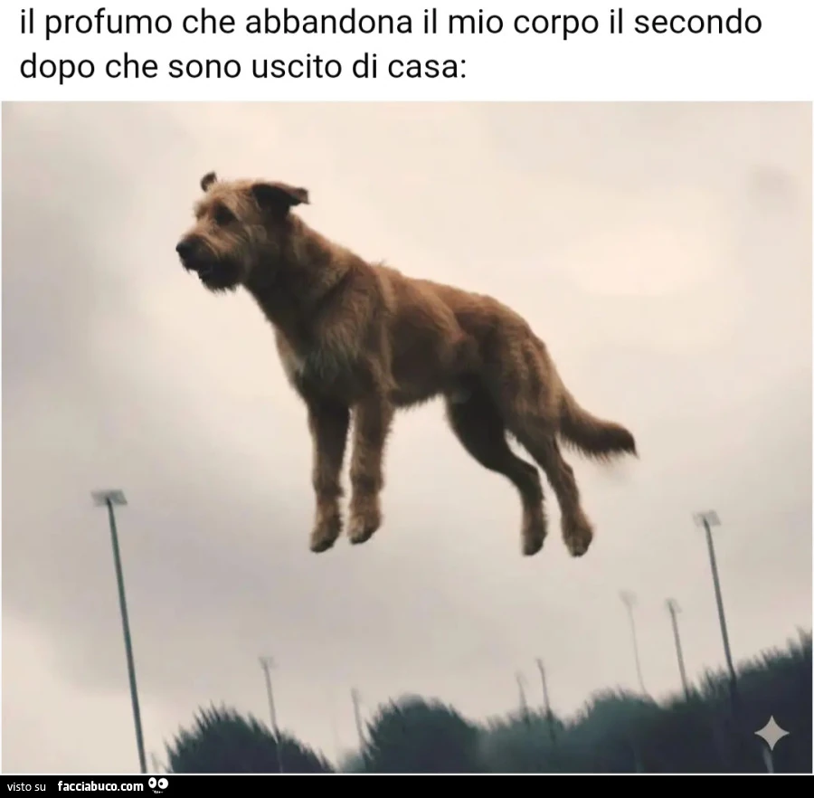 Il profumo che abbandona il mio corpo il secondo dopo che sono uscito di casa