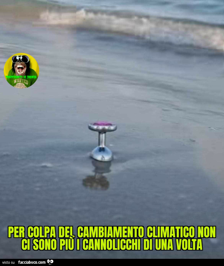 Per colpa del cambiamento climatico non ci sono più i cannolicchi di una volta