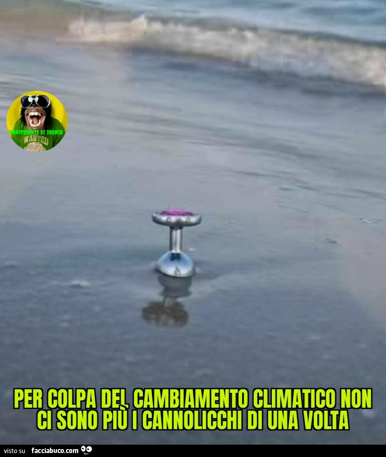 Per colpa del cambiamento climatico non ci sono piรน i cannolicchi di una volta