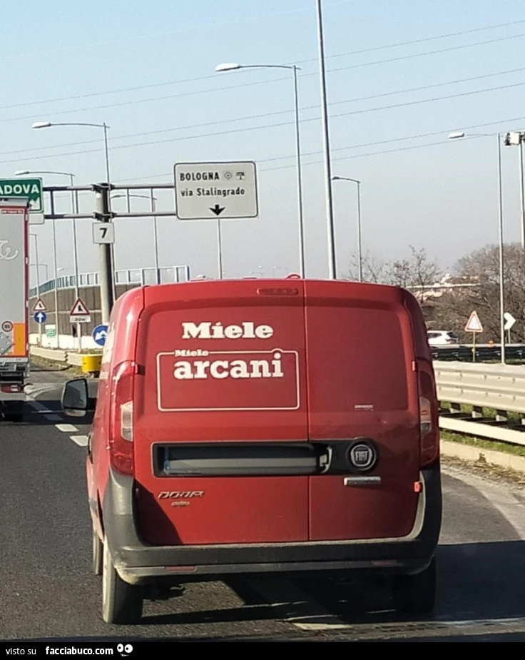 Cani