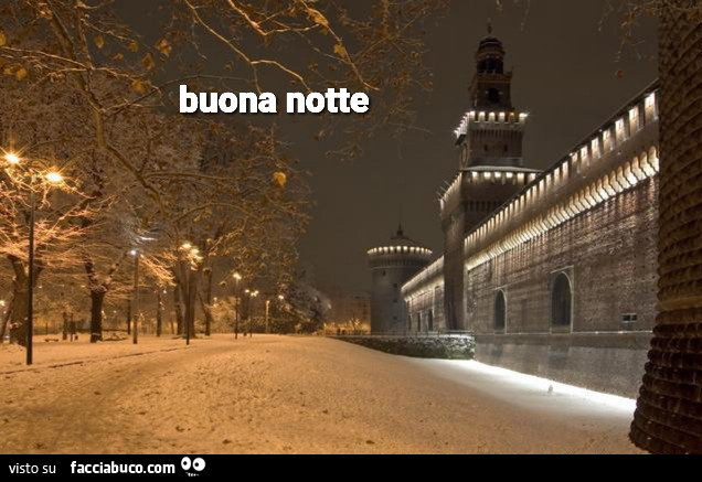 Buonanotte