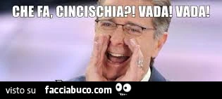 Vaccata