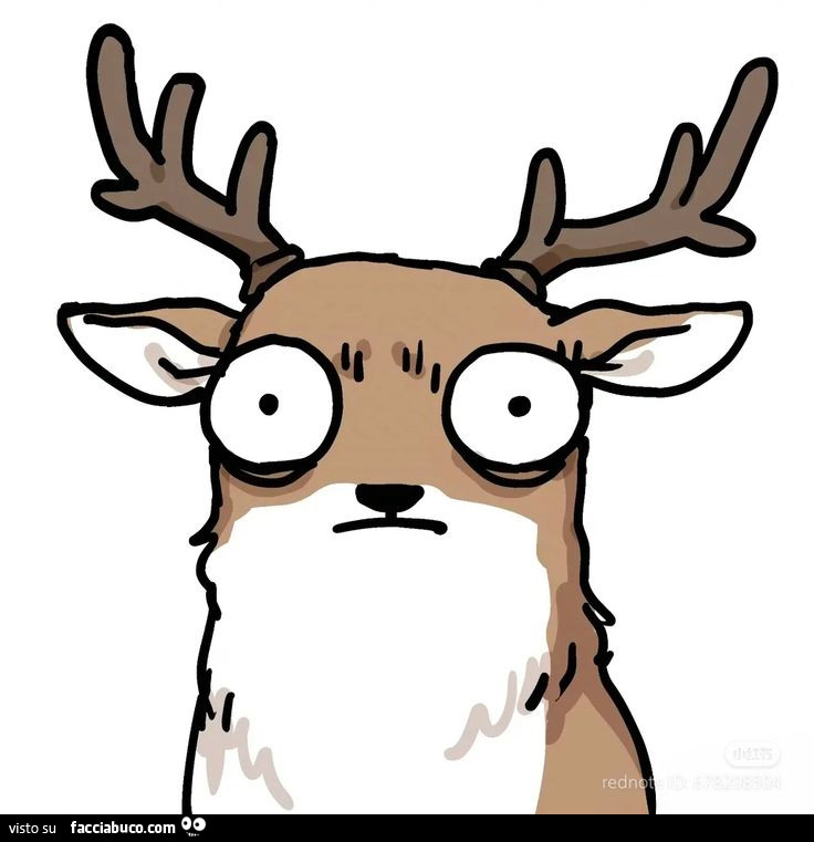 Cervo occhi sbarrati