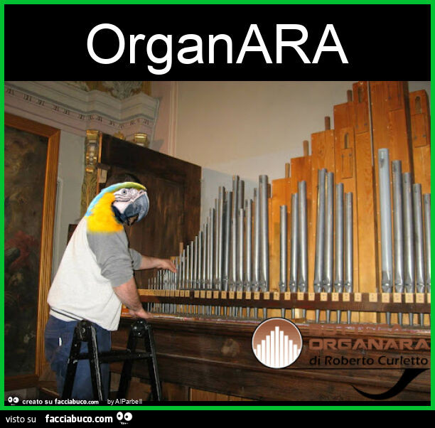 Organara