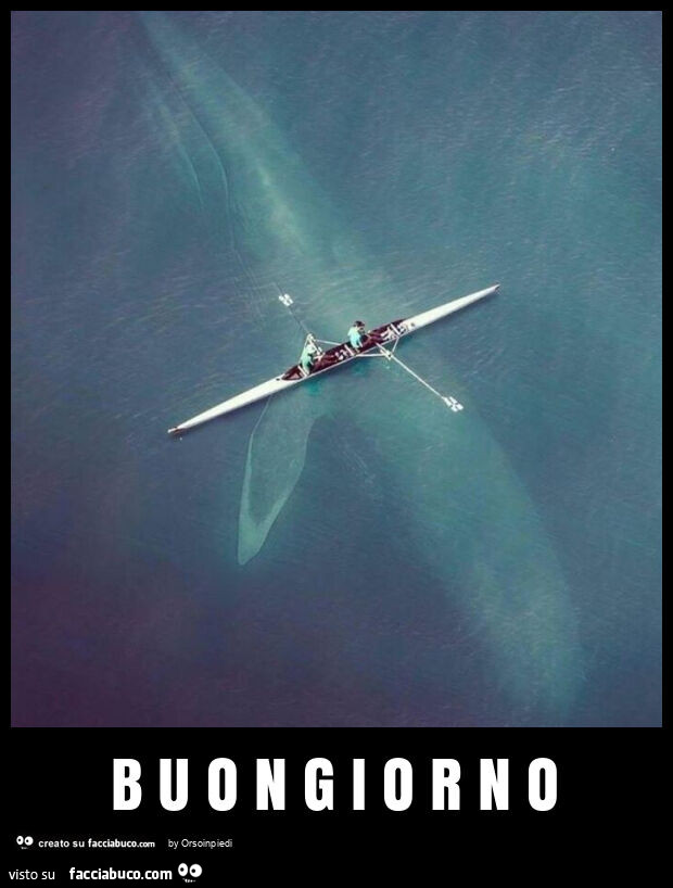 B u o n g i o r n o