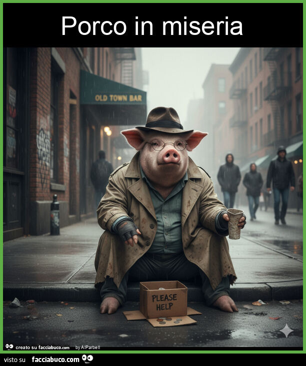 Porco in miseria