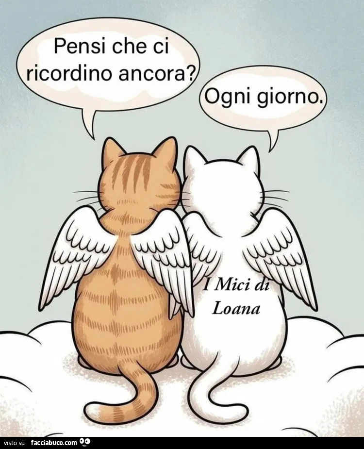 I nostri pelosetti