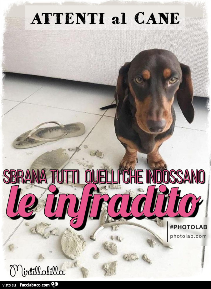 Sbrana tutti