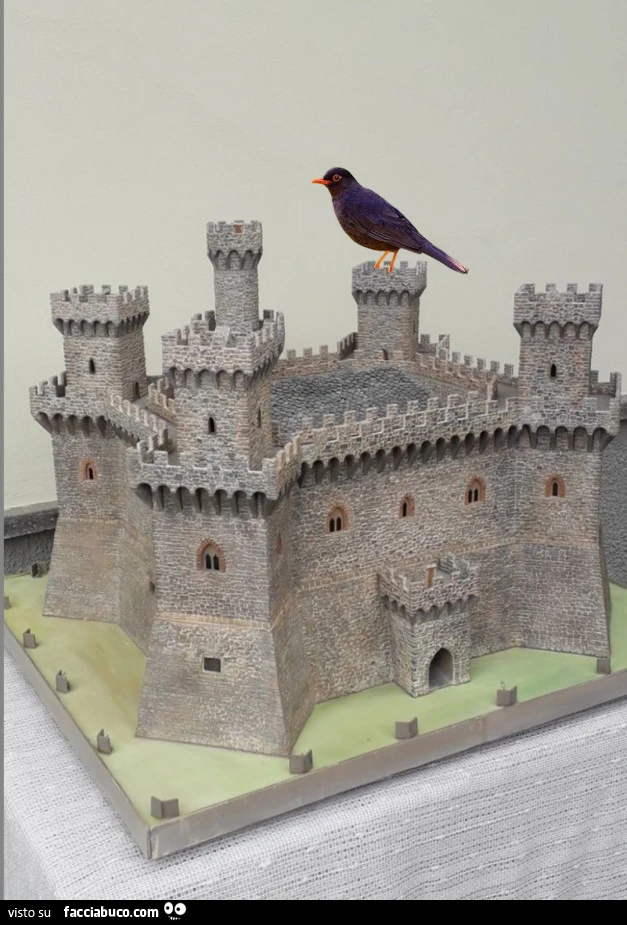 Merli