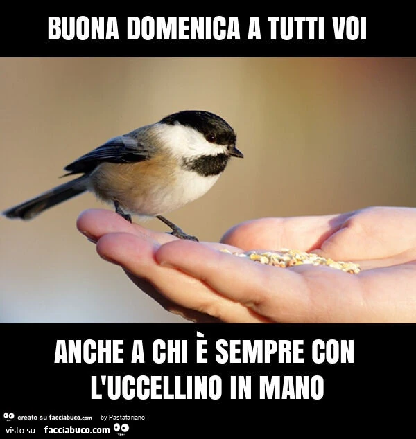 Buona domenica a tutti voi anche a chi è sempre con l'uccellino in mano