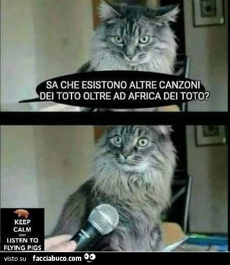 Vaccata