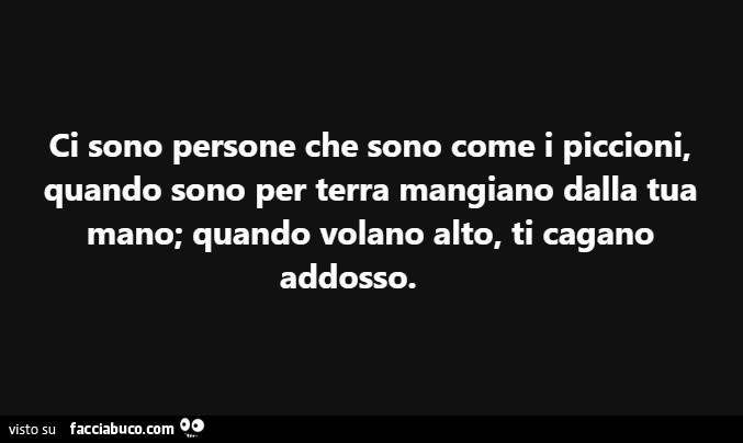 Ci sono persone che sono come i piccioni, quando sono per terra mangiano dalla tua mano; quando volano alto, ti cagano addosso